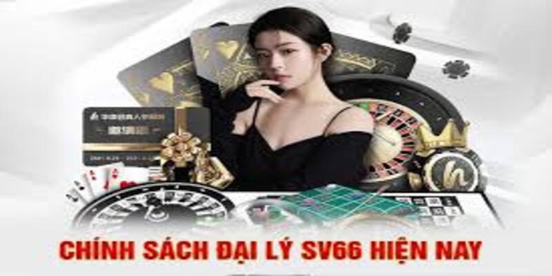 Hình ảnh các chính sách đại lý sv66